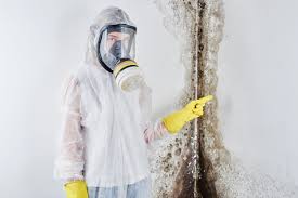 Best Air Quality Testing for Mold Spores  in Hudson, NC